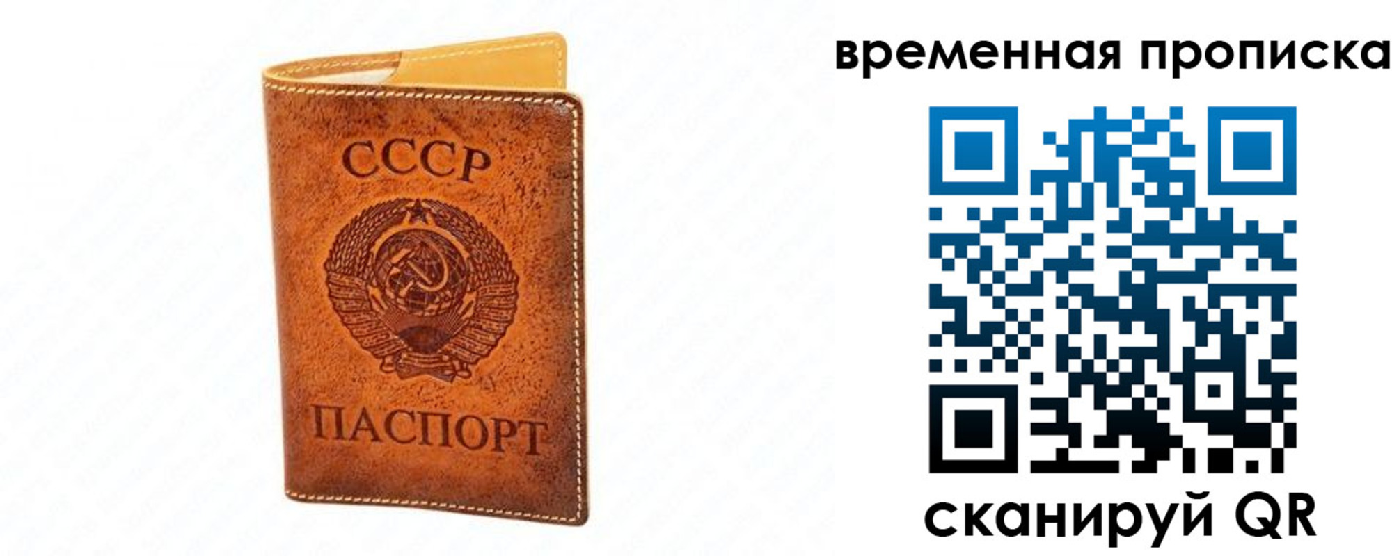 временная прописка в Тимашёвске